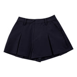 Banded Pleated Skirt 百褶褲裙 - NAVY